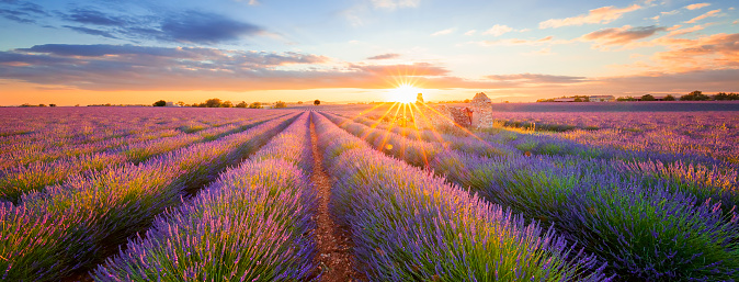 France Travel Tips and Information