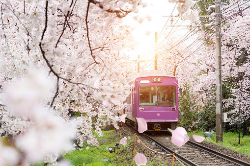 Japans Bullet Train