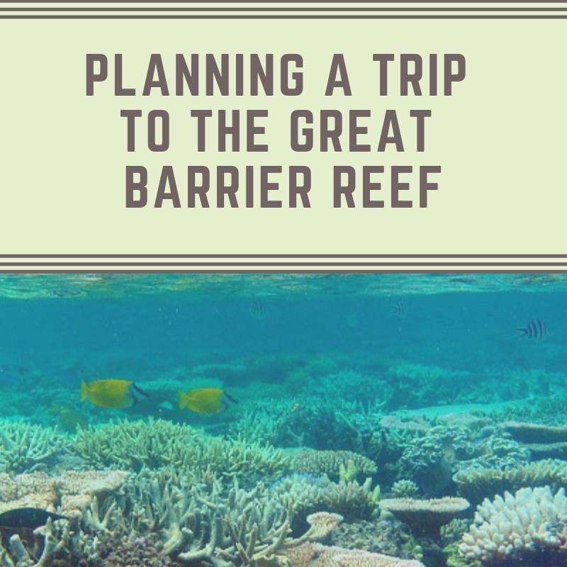 Planning A Trip To The Great Barrier Reef