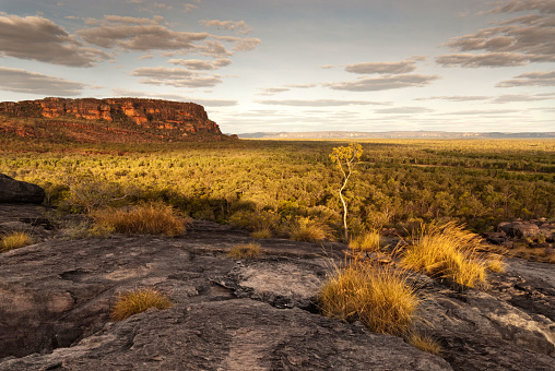Australia Travel Pictures