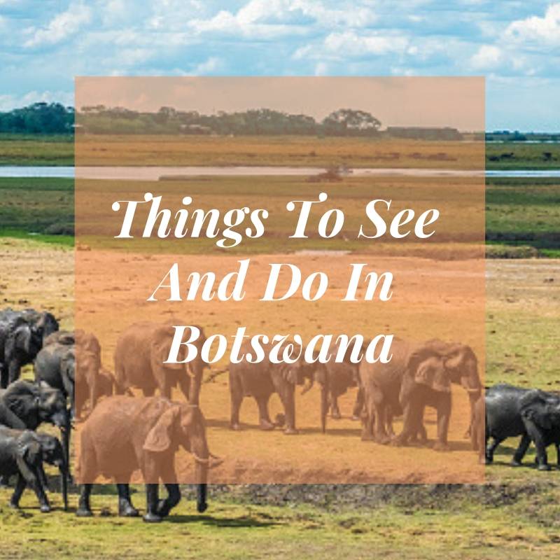 Things To See And Do In Botswana