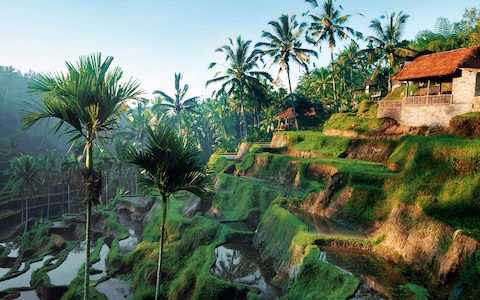 Eat, Pray, Love Bali