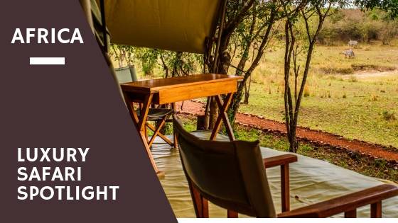 Africa Luxury Safari Spotlight