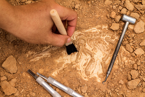 Italy Archeology and History