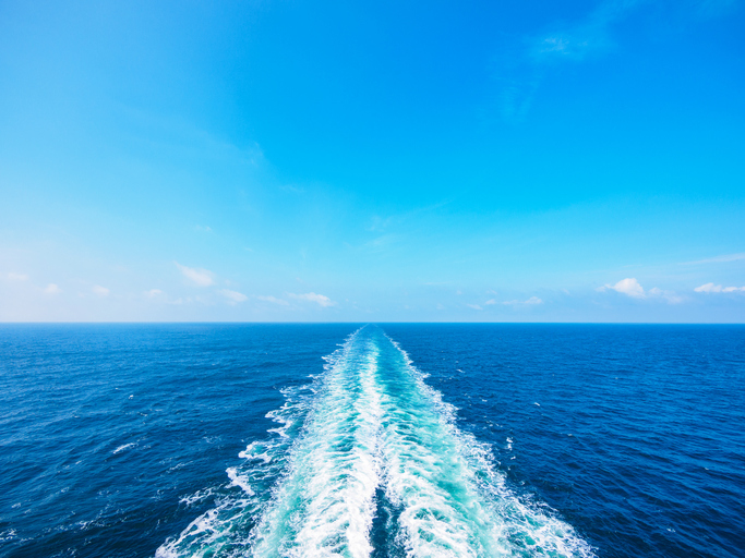 Ship Review:  Silver Discoverer