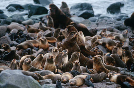 Alaska Adventure Travel