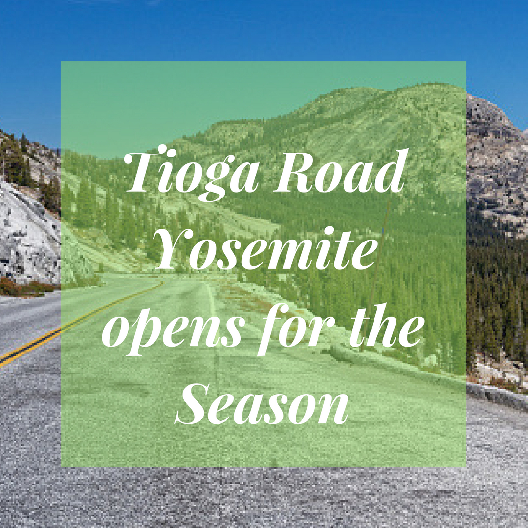 Tioga Road Yosemite opens for the Season