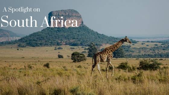 A Spotlight On South Africa