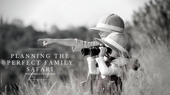 Planning the Perfect Family Safari with Micato Safaris