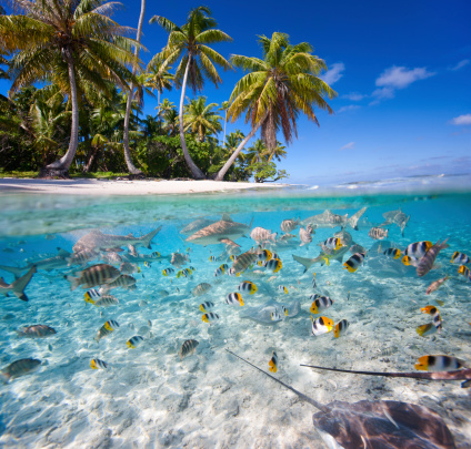 Magical Fiji Moments