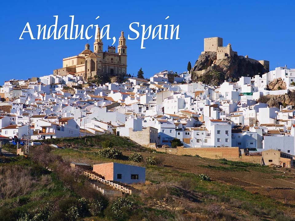 The Andalusian Region of Spain