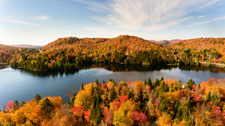 Fall Foliage Travel