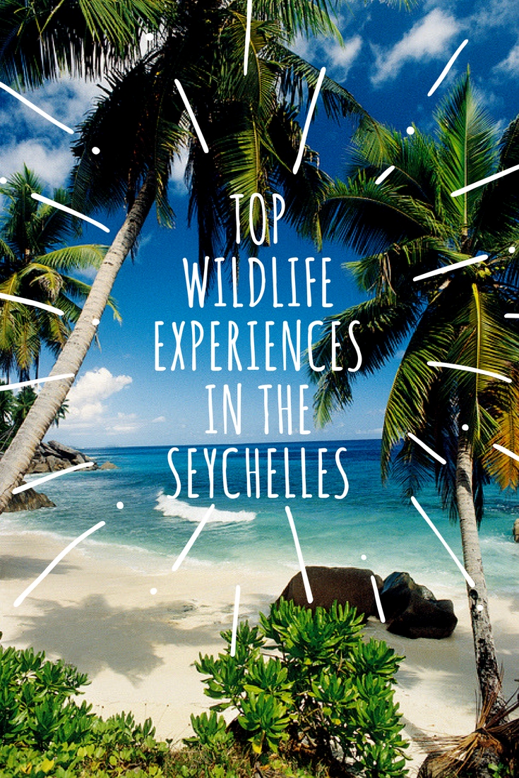 Top Wildlife Experiences In Seychelles