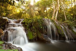 Brazil: Home To The World's Largest Wetland