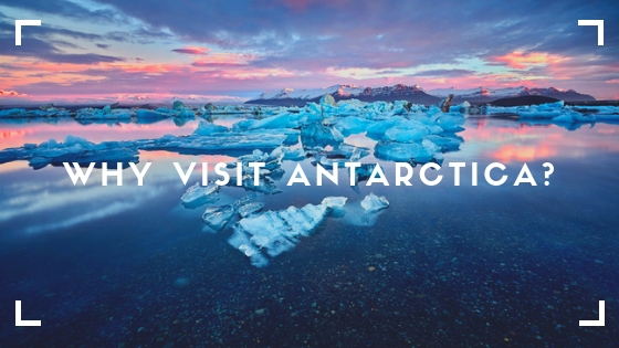 Why Visit Antarctica?