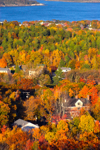 Things to See and Do During Fall Foliage