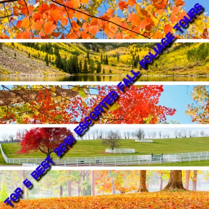 Top 5 Best 2018 Fall Foliage Tours