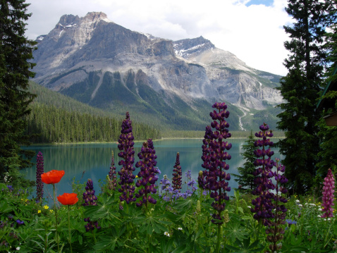 What To Do In Canada Based On The Season