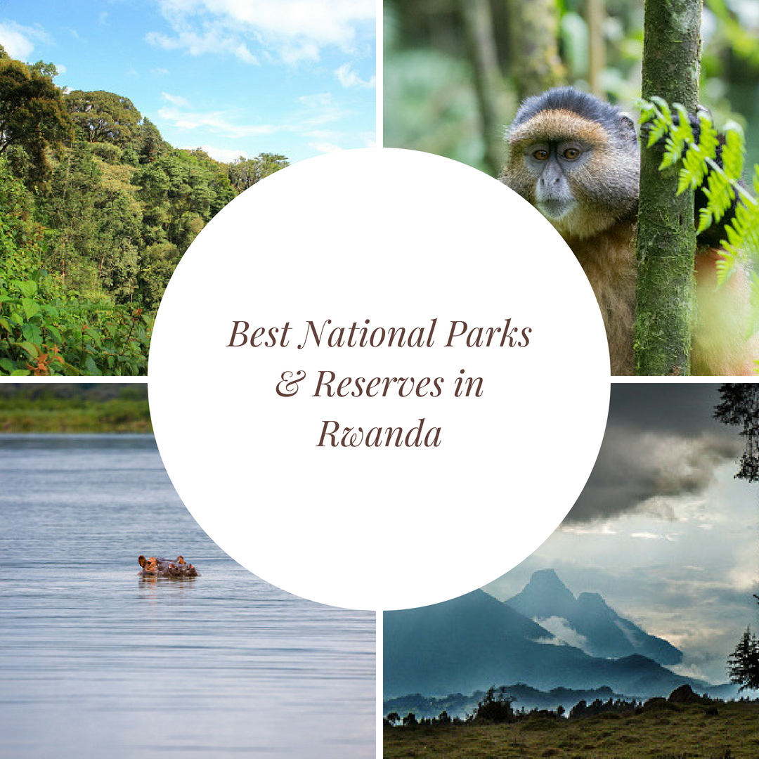The Best National Parks & Reserves in Rwanda 