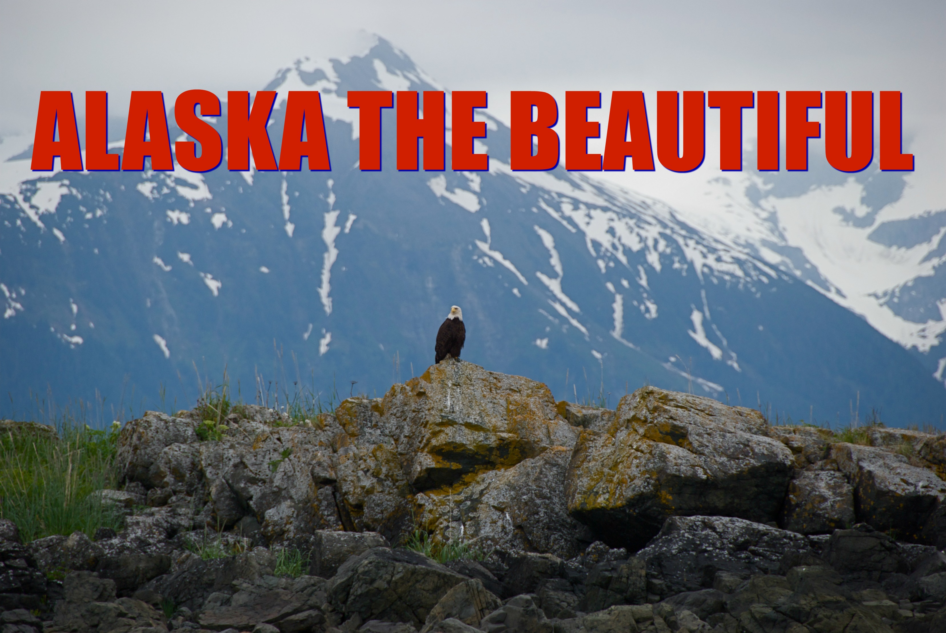 Best Alaska Land Tours 2025 & 2025 Escorted Alaska Tours