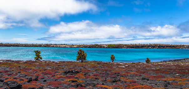 Tauck Galapagos Tour