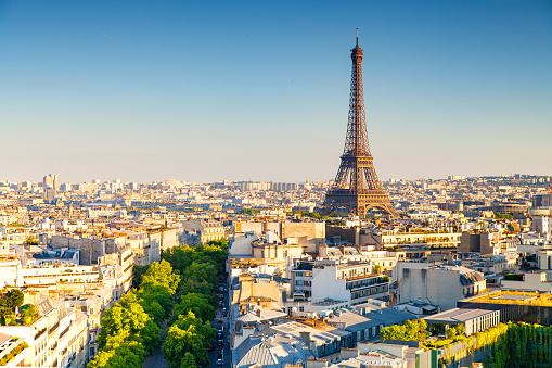 Declining Bread Consumption in France