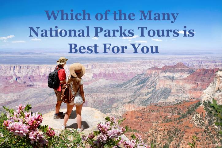 Which of the Many National Parks Tours is Best For You