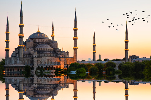 Travel Tips For the New Wanderer