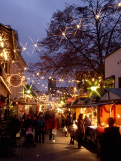 The Rudesheim Christmas Market