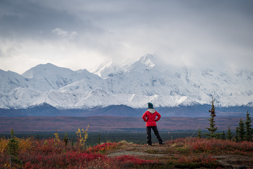 Denali Princess Wilderness Lodge
