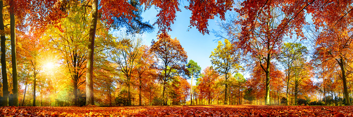 Act now to join Tauck Tours Fall Trips