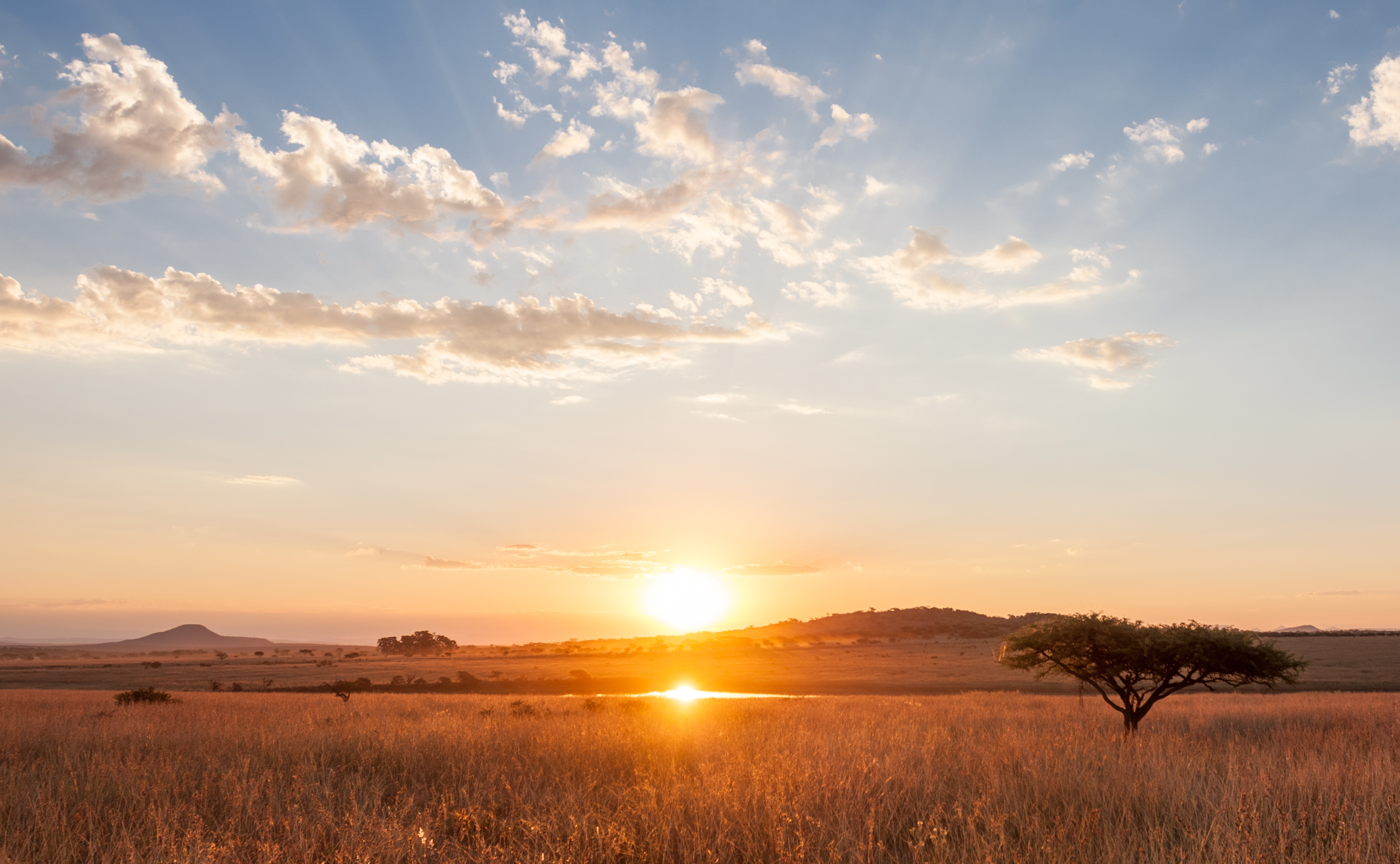 The African Savanna