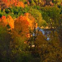 Cosmos Fall Foliage Tours 2026 & 2027 | Scenic Escapes