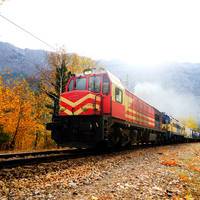 Fall Foliage Train Tours 2026 & 2027 | Scenic Rail Vacations