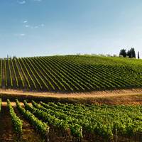 Top-Rated Collette Italy Tours 2026 & 2027