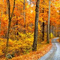 Globus Fall Foliage Tours 2025 & 2026 | New England Vacations