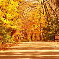 Insight Fall Foliage Tours 2026 & 2027 | Scenic New England Trips