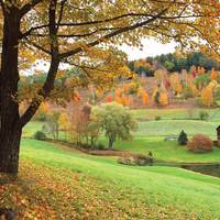 Tauck Fall Foliage Tours 2026 & 2027 | Expert-Guided Escapes