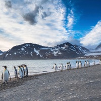 Falkland Islands Travel Packages 2026 & 2027