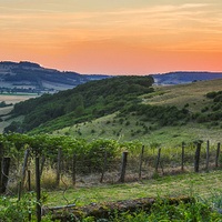 Burgundy Wine Tours & Travel Packages 2026-2027