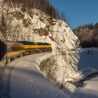 Top Alaska Train Tours 2026 & 2027 | Scenic Rail Packages