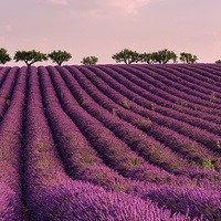 Top Provence Attractions for 2026 & 2027