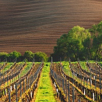 Top France Tours 2026 & 2027 | Small Group Escapes