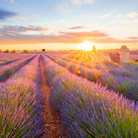 France Independent Travel Deals 2026 & 2027