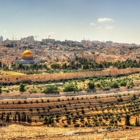 Globus Middle East Tours 2023 | Globus Middle East 2024 Tours