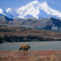 Insight Alaska Tours