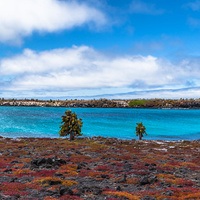 2026 & 2027 Galapagos Travel Packages | Book Now