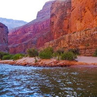 2026-2027 Fall Foliage National Park Tours
