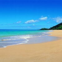 Tauck Hawaii - Hawaii Trips with Tauck 2023 & 2024 | Tauck Hawaii Travel