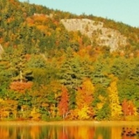 Globus Fall Foliage Tours 2024 | Globus Fall Foliage Travel